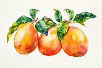 Produce fruit plant peach.