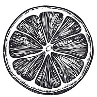 Lemon slice grapefruit produce plant.