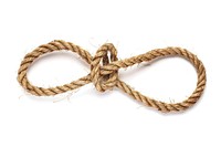 Rope ornament shape collage cutouts knot.