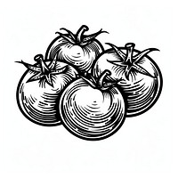 Tomato salad illustrated produce drawing.