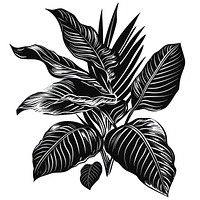 Tropical plant illustrated stencil drawing.