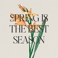 Spring Instagram post template