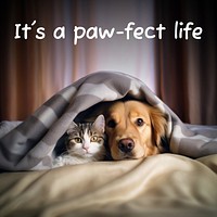 Pet quote Instagram post template