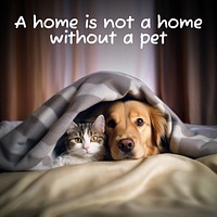 Pet quote Instagram post template