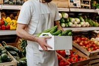 Paper box mockup vegetable food man.