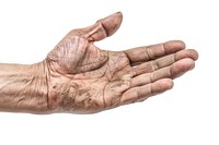 Finger person human wrist.