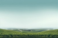 Vineyard countryside vegetation landscape.
