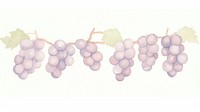 Grapes as divider line watercolour illustration produce fruit plant.