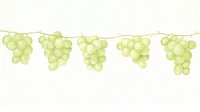 Grapes as divider line watercolour illustration produce fruit plant.