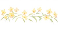 Orchids as divider line watercolour illustration graphics daffodil blossom.