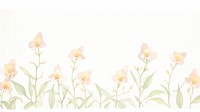 Orchids as divider line watercolour illustration graphics painting daffodil.