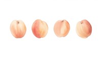 Peaches as divider line watercolour illustration produce fruit plant.