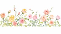 Roses as divider line watercolour illustration graphics blossom pattern.