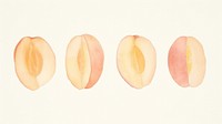 Slided peaches as divider line watercolour illustration produce fruit plant.
