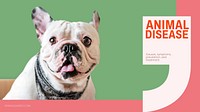 Animal disease blog banner template, editable text & design