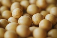 Soy beans texture vegetable produce plant.