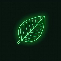 Leaf icon green plant light.