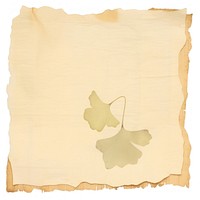 Ginkgo ripped paper text diaper plant.