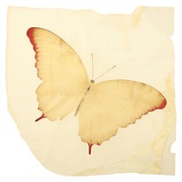 Japanese butterfly ripped paper invertebrate painting animal.