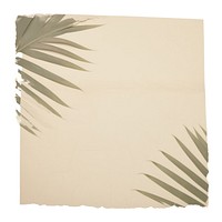 Palm leave ripped paper text canvas plant.