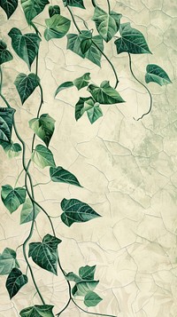 Wallpaper vines plant leaf ivy.