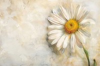 Daisy flower painting asteraceae blossom.