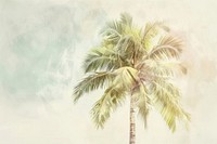 Palm tree arecaceae outdoors produce.