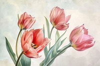 Tulip flowers painting blossom plant.