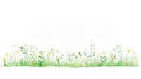 Grass as divider watercolor flower asteraceae graphics.