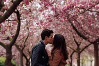Couples sharing a kiss blossom photo cherry blossom.