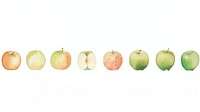 Apples as divider watercolor produce fruit plant.