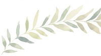 Botanical leaves as divider watercolor astragalus graphics pattern.