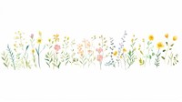 Flowers as divider watercolor asteraceae graphics pattern.