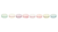 Macarons as divider watercolor confectionery sweets food.