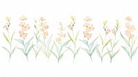 Orchids as divider watercolor illustrated graphics daffodil.