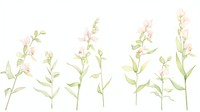 Orchids as divider watercolor graphics blossom pattern.