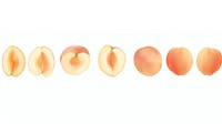 Peaches as divider watercolor produce fruit plant.