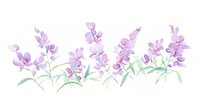 Orchid bouquet as divider watercolor blossom pattern flower.