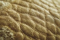 Sheepskin leather texture reptile blanket.