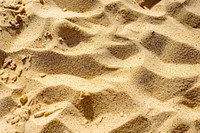 Sahara Desert Sand sand outdoors nature.
