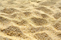 Desert Sand sand outdoors reptile.