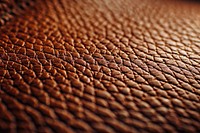 Pigskin leather texture reptile animal.