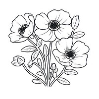 Anemone flower illustrated graphics drawing.