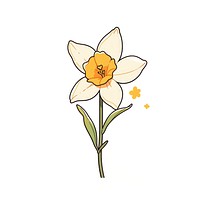 Daffodil flower daffodil blossom plant.