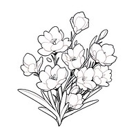 Freesia flower illustrated drawing blossom.