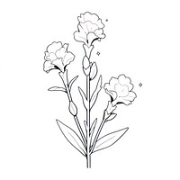 Gladiolus flower illustrated drawing blossom.