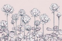 Clover flowers art illustrated drawing.