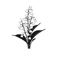 Lily of the valley flower illustrated graphics blossom.