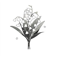 Lily of the valley flower illustrated drawing blossom.