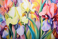 Rainbow iris flowers painting graphics blossom.